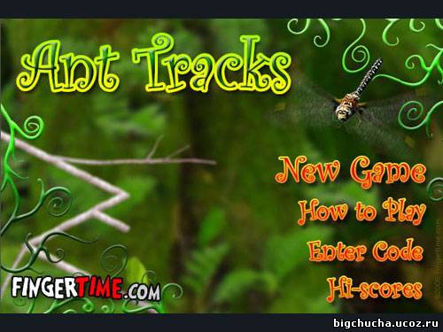 Ant tracks