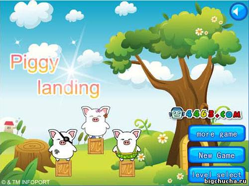 Piggy Landing