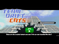 Team Drift Cats