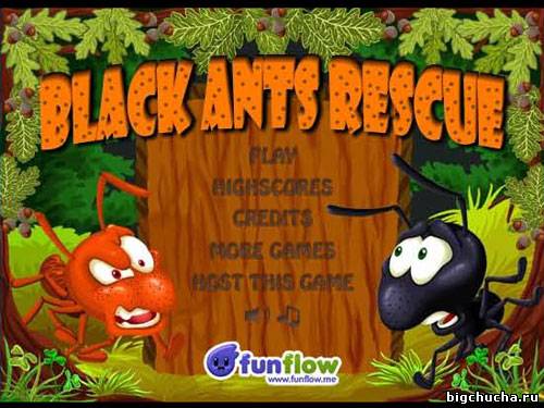 Black ants rescue