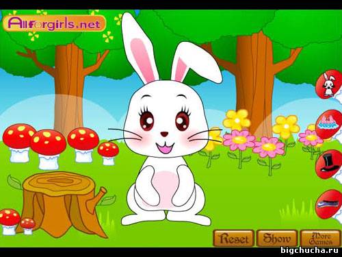 Cute Bunny