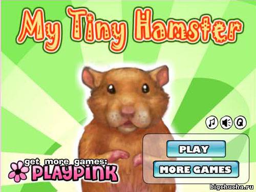 My Tiny Hamster