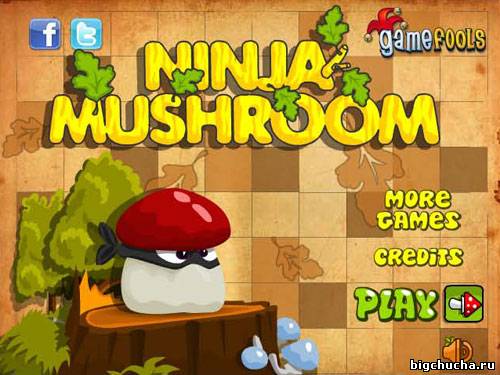Ninja Mushroom