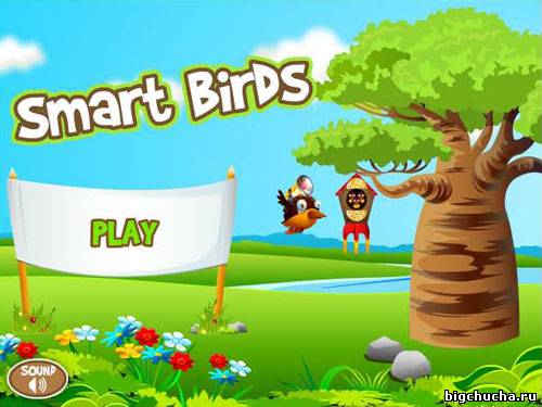 Smart Birds