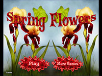 Spring Flowers